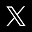 X (Twitter)